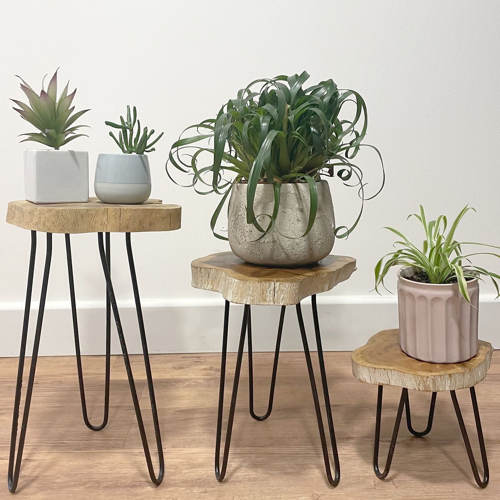 Set of 3 Gamell Wood Plant Stands - Greenwash