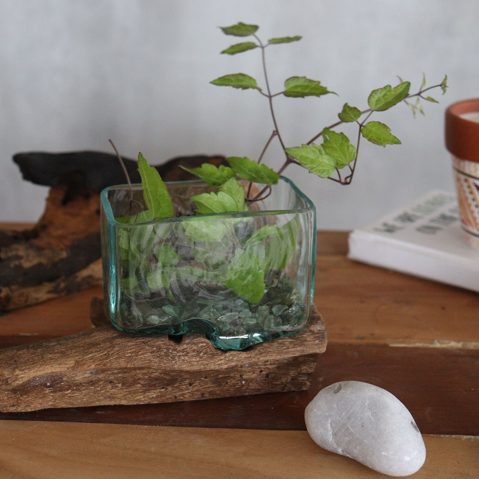 1x Molten Glass Tank on Wood with Stand - Large Bowl