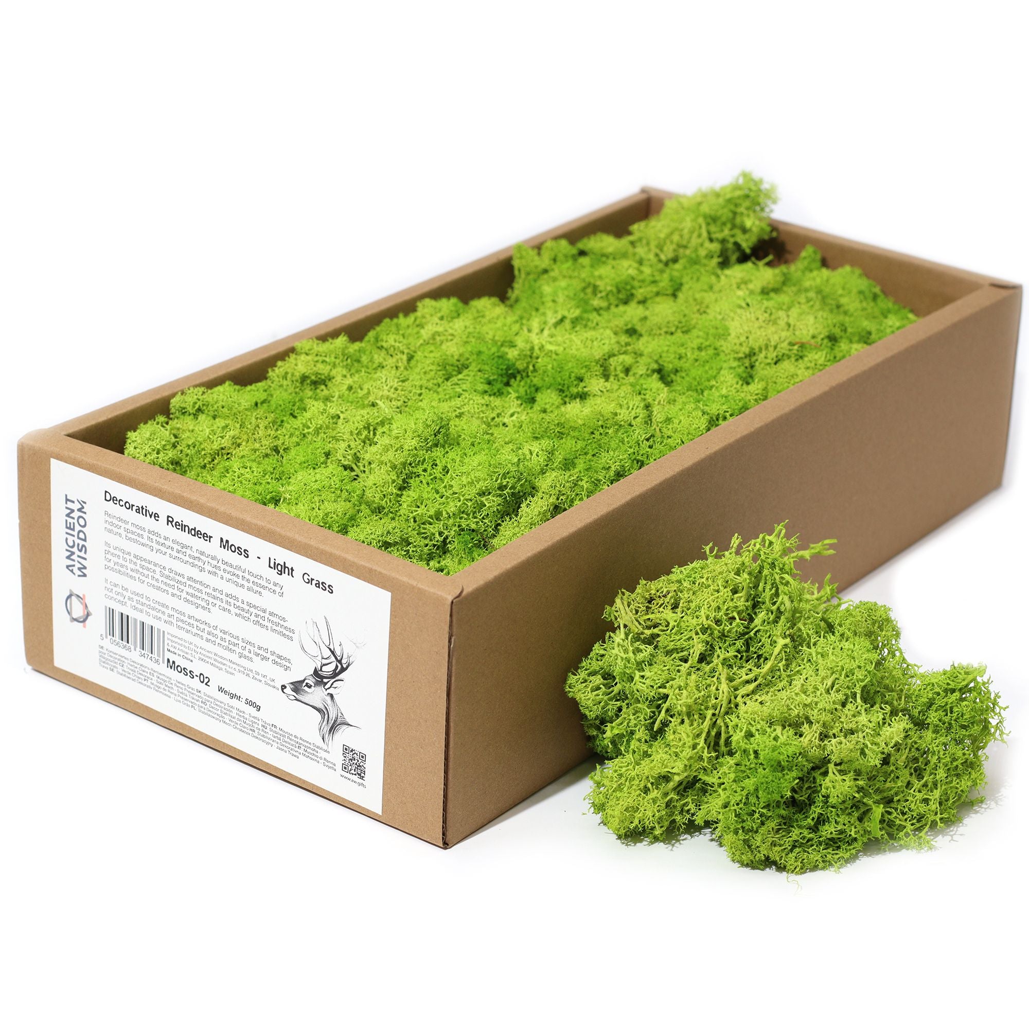 Qualitäts-Deko Rentiermoos – Hellgrün – 635g Box
